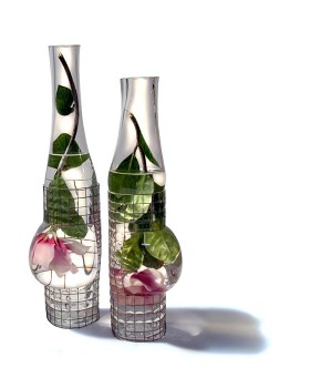 Aquarius Bouteille/Bottle