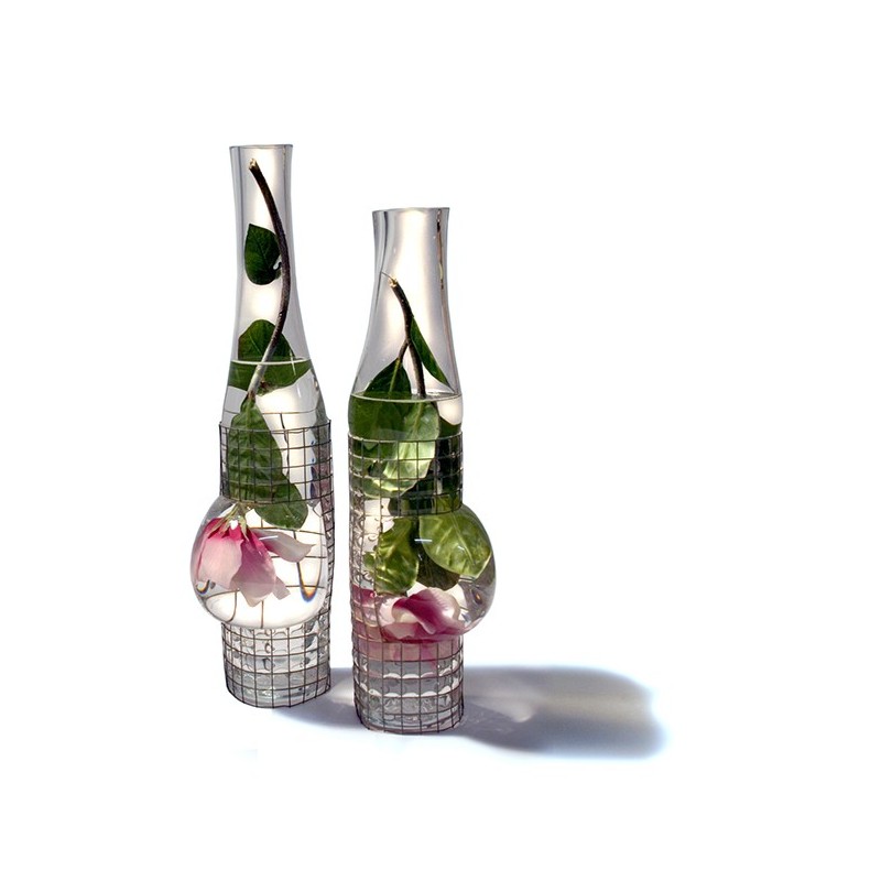 Aquarius Bouteille/Bottle