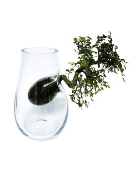 Tree Vase