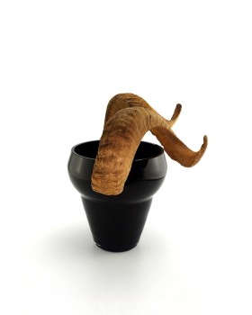UNIQUE CREATURE 39