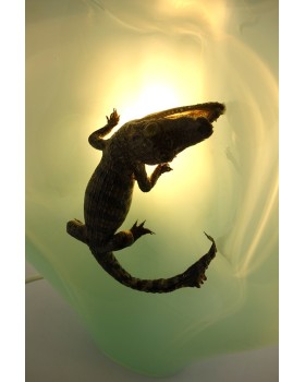 UNIQUE CREATURE 45